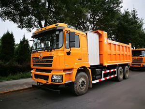SX3256DT464T CNG